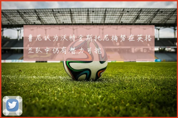鲁尼认为沃特金斯托尼梅努在英格兰队中仍有潜力可挖